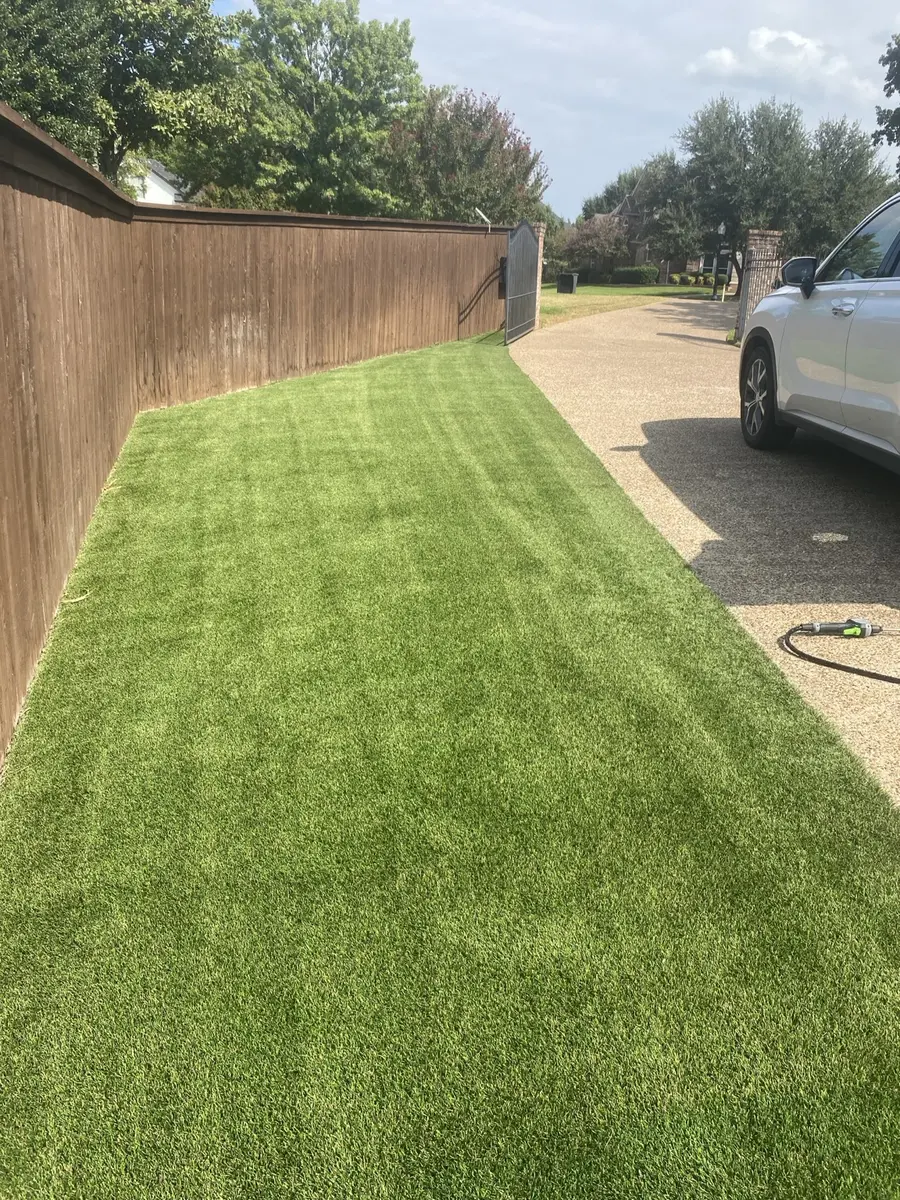 Long residential artificial turf side yard after cleaning