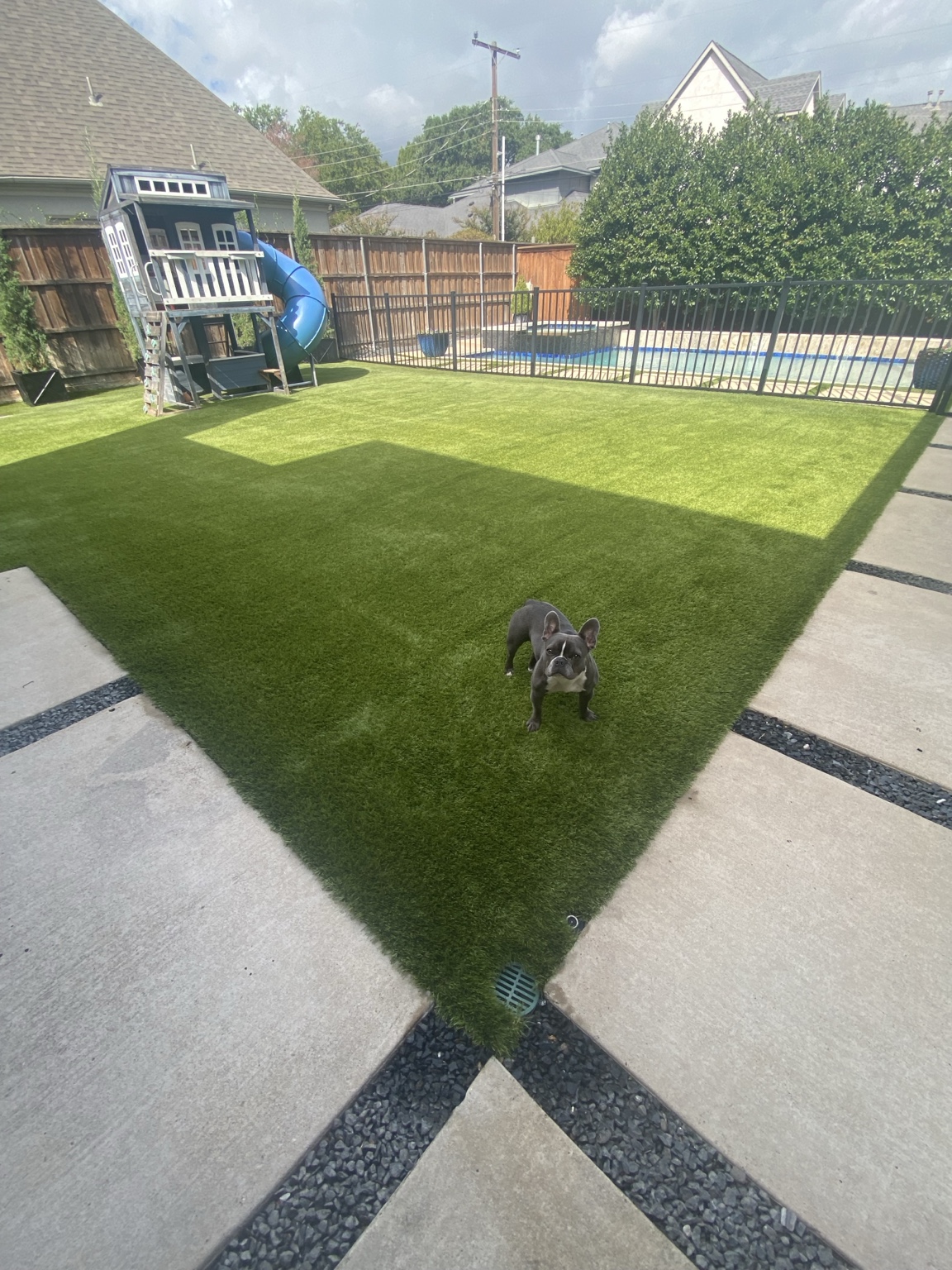 Wide finished view of a professionally cleaned 900-square-foot pet-friendly artificial turf yard in Dallas, Texas