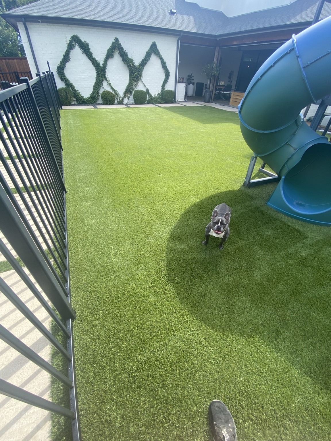 Professionally cleaned artificial turf beside a play structure and pool fence in Dallas, Texas